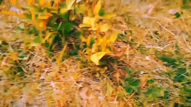 маленькие человечки часть 1