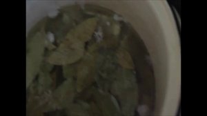 Как сделать консерву из рыбы быстро и вкусно? Чехонь.