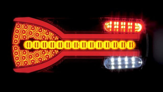 Multifunction lights Carmen LZD 2400 and LZD 2401 смотреть онлайн