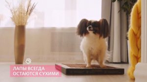Лоток для собак Зоодружок с натуральным наполнителем