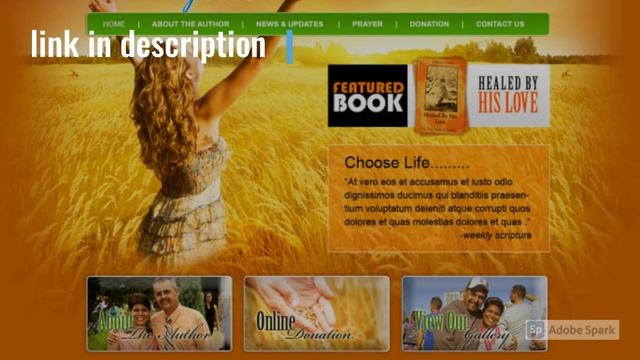 design and develop responsive wordpress website