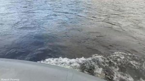 Рыбалка на Лозьве | Таймень | Хариус