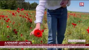 Маки в Крыму – сезон селфи. Где можно сфотографироваться на фоне алых цветов