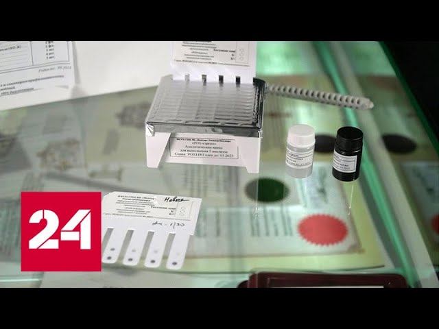 Россию спасет от оспы обезьян "иммунная прослойка" - Россия 24