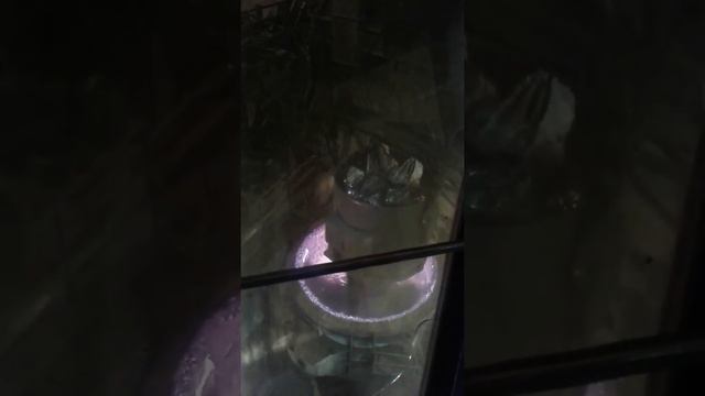 Завалка дуговой печи смотреть онлайн