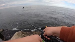 Ловили САРГАНА, а влетела трофейная СТАВРИДА. Морская рыбалка на БОМБАРДУ.