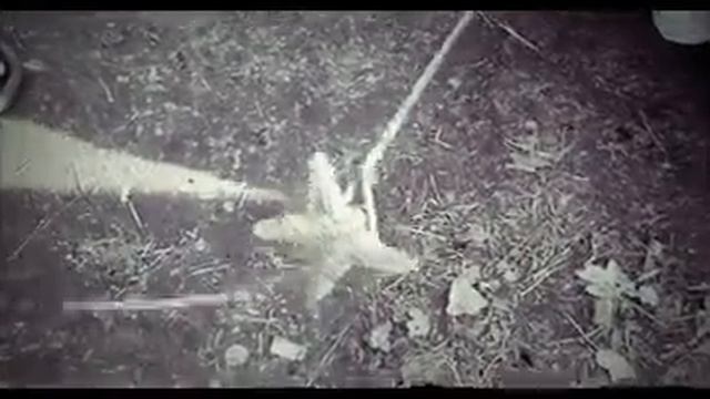 Речная звезда из сертякинской аномальной зоны смотреть онлайн