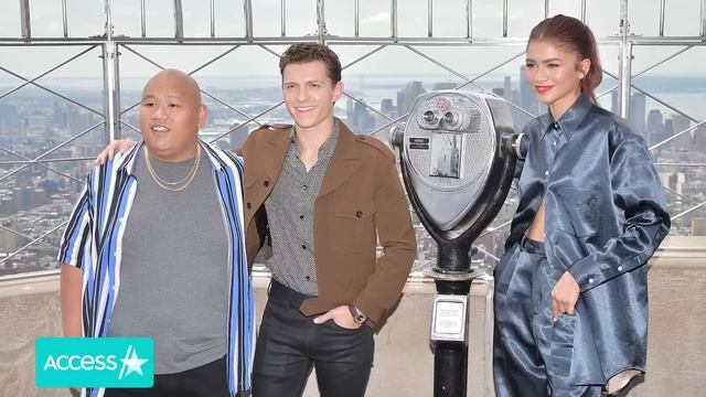 Zendaya Dazzles At Mumbai Gala w/ Tom Holland смотреть онлайн