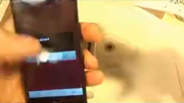 Тест умных часов Fentorn L38i для спорта смотреть онлайн