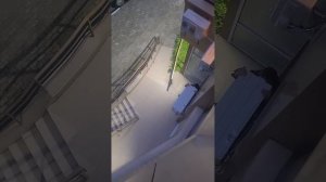 ДАЙ, ДАЙ ДЕНЕГ ДАЙ! / ПОЛУЧКА САШКИ АЛЕУТА