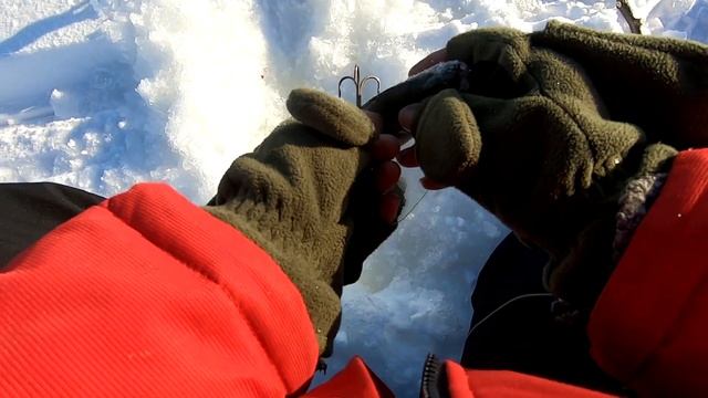 Ловля налима на стук и жерлицы! Зимняя рыбалка в Карелии на Онего. смотреть онлайн