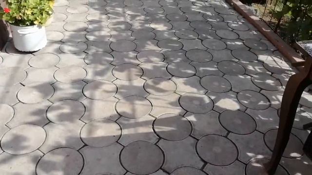 посадка плюща в саду! смотреть онлайн