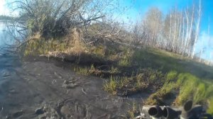 Yamaha Grizzly 700, Arctic Cat MUD PRO 700