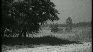 Тыл танкового батальона_1940 (1 из 2)