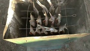 горячее копчение пеляди в домашних условиях.