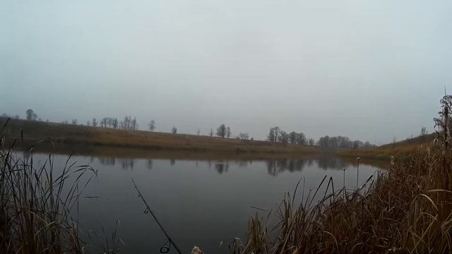 Рыбалка в Воронежской области. Ловля щуки на спиннинг. Щука на strike pro inquisitor 110sp. смотреть онлайн