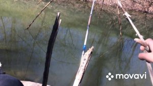 ЛОВЛЯ ЩУКИ, ПЛОТВЫ, ТОЛСТОЛОБА НА ПАУК (ПОДЪЕМНИК) !!!