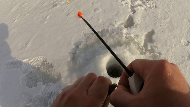 Местные съели половину улова ! Рыбалка на балансир . смотреть онлайн