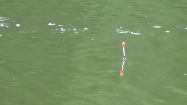 Необычная тактика ловли плотвы на поплавок(пока теория)) + ловля карася смотреть онлайн