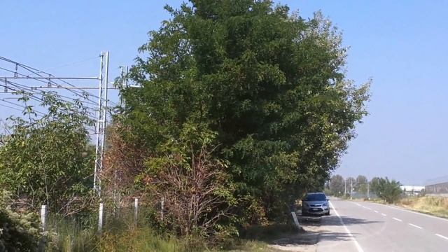 Landing Bologna BLQ RWY12 - B747/4H6 EC-KXN Pullmantur / Saudi Arabian смотреть онлайн