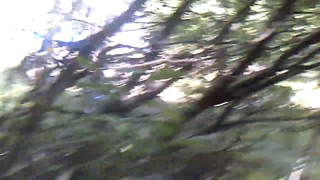 Строим шалаш в лесу с друзьями смотреть онлайн