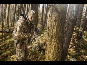 Охота на кабана с арбалетом МК ХВ52