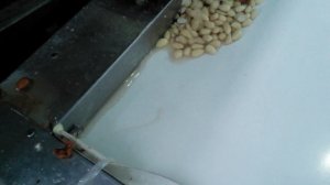 Линия переработки бланшировки миндаля