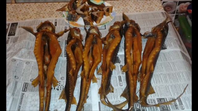 Осетр гор копчения. смотреть онлайн