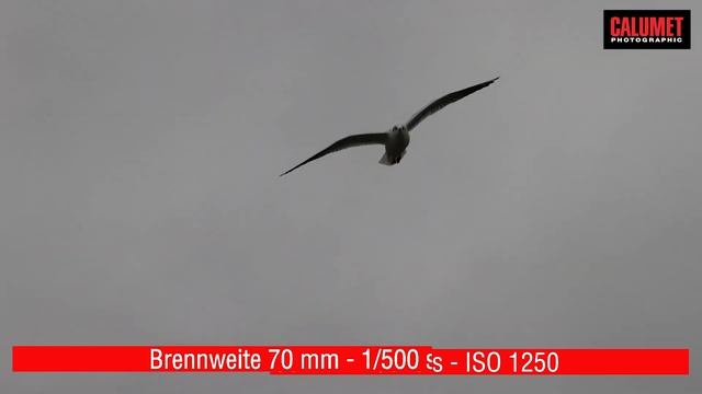 Praxis - Test Canon EOS 1 D X Mark III | Calumet Photographic [deutsch] смотреть онлайн