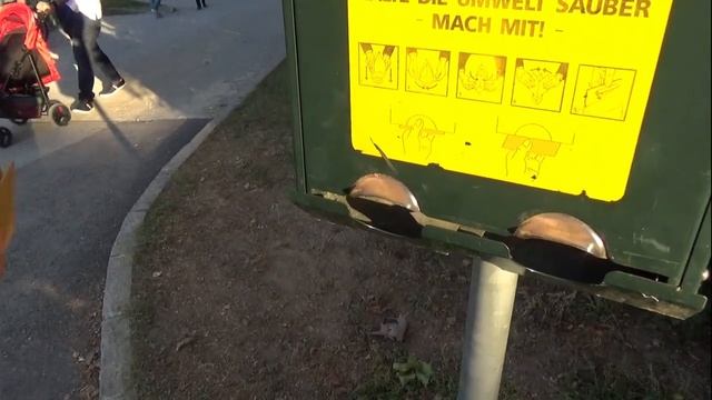 Бумажные пакеты для уборки за собакой смотреть онлайн