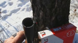 Картечь, эффективная дистанция стрельбы
