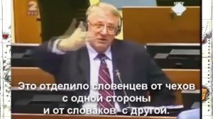 Профессор Воислав Шешель приговорённый серб о славянах