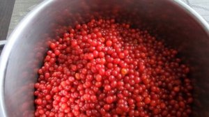 Ягода для здоровья ! Калина красная ! Отличный рецепт варенья из калины !