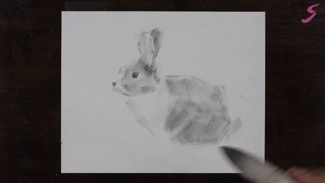 Экспресс-урок по графике «Кролик» | Как нарисовать кролика поэтапно смотреть онлайн