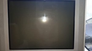 Samsung CS-25M20SSQ - обзор