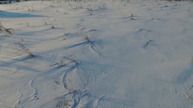 Отлетим! Зима в Подмосковье