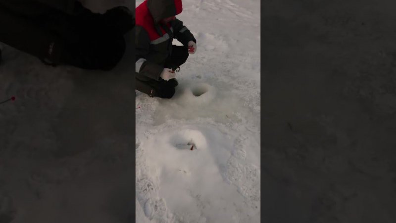 Дразнится