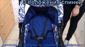 Коляска-трансформер "Пилот" на надувных колесах