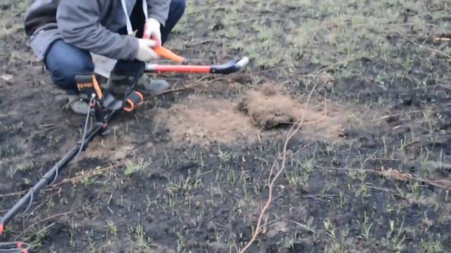 Сгоревший лес и Quest q40 смотреть онлайн