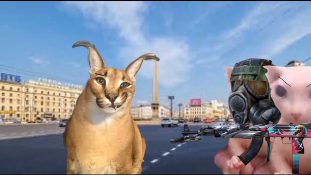 Шлёпа и хаос 9. Начало хаоса. Конец сезона смотреть онлайн