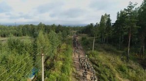 Общевойсковая подготовка (КМБ) Военная Академия Связи им. С. М. Будённого 2020 г. Санкт-Петербург