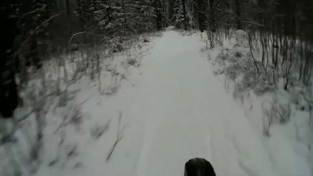 велопрогулка в снежном лесу. фэтбайк на местных тропках. смотреть онлайн