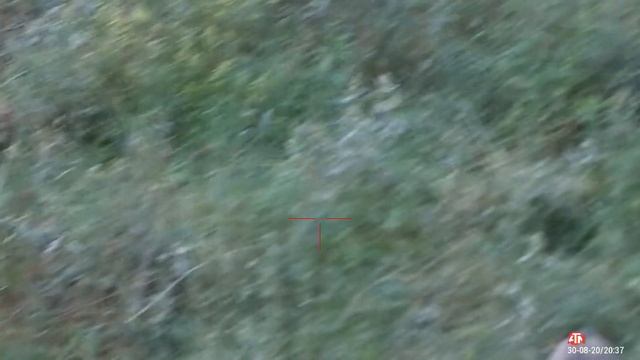 ОХОТА НА КАБАНА С ЛАБАЗА. ОХОТА без лишних слов смотреть онлайн