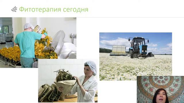 Травничество: от древности до наших дней