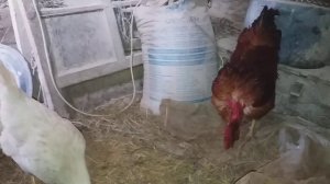 НЕ УПУСТИЛ ШАНС))