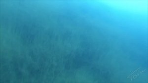 XXI съезд. Грызловские карьеры. First Open Water
