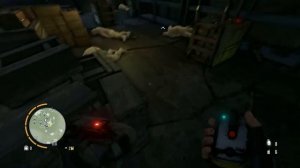 Прохождение #33 Far Cry 3 ► Покрасить в черное