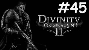 divinity original sin 2 прохождение # поиски лорда Арху [45]