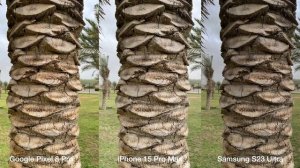 Google Pixel 8 Pro vs iPhone 15 Pro Max vs Samsung Galaxy S23 Ultra Camera Test