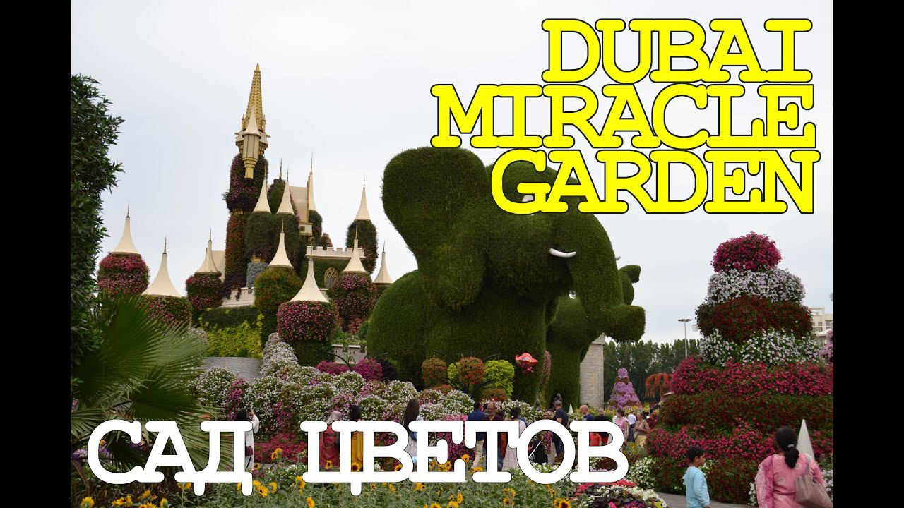 Дубай. Miracle Garden / Сад цветов.